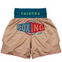 Fairtex BT2010 Шорты Боксерские "Vintage"